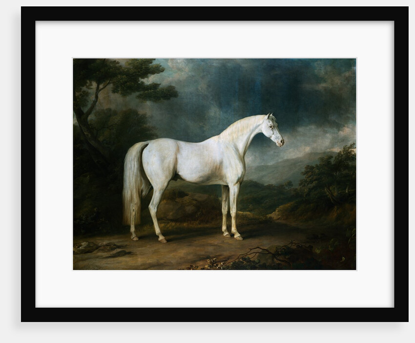 White Horse in a Wooded Landscape by Sawrey Gilpin