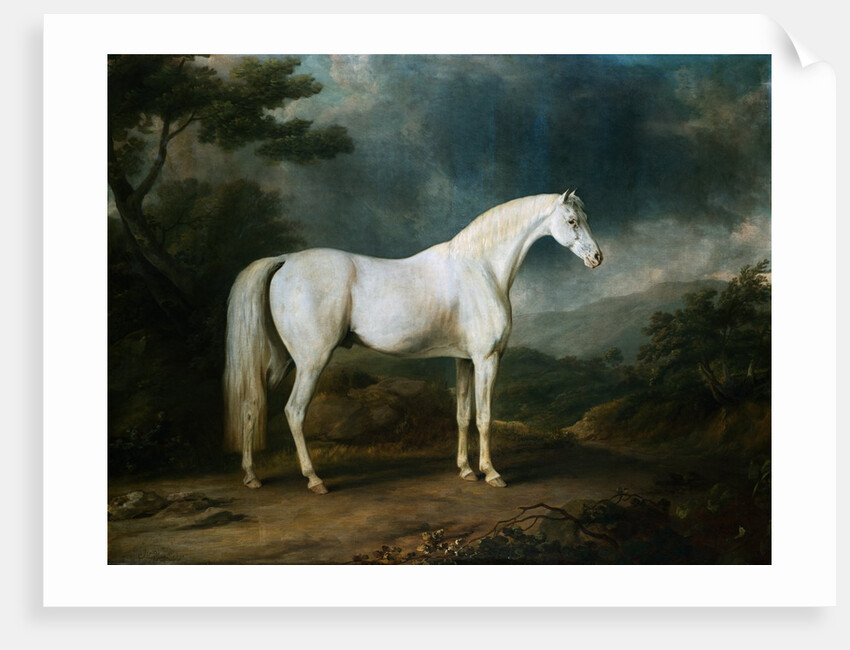 White Horse in a Wooded Landscape by Sawrey Gilpin
