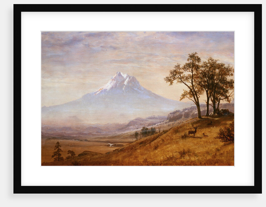 Mount Hood by Albert Bierstadt