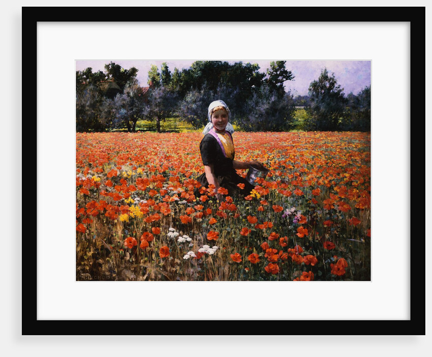 The Poppy Field by George Hitchcock