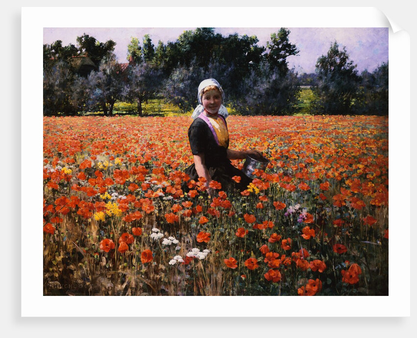 The Poppy Field by George Hitchcock