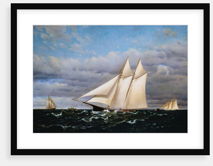 America's Cup Race by Francis Augustus Silva