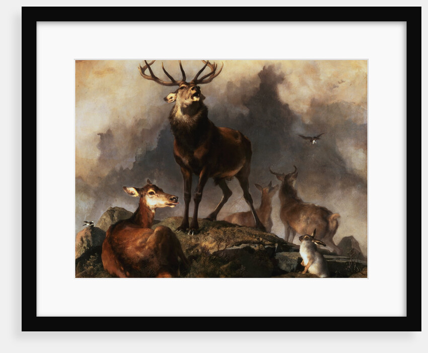 Scene in Braemar - Highland Deer by Sir Edwin Henry Landseer