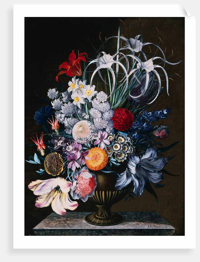 An Arrangement of Tulips, Narcissi, Auriculas, Poppies, Lilies, Columbines, Ranunculas, and Other Flowers in a Vase by J.A. Simson