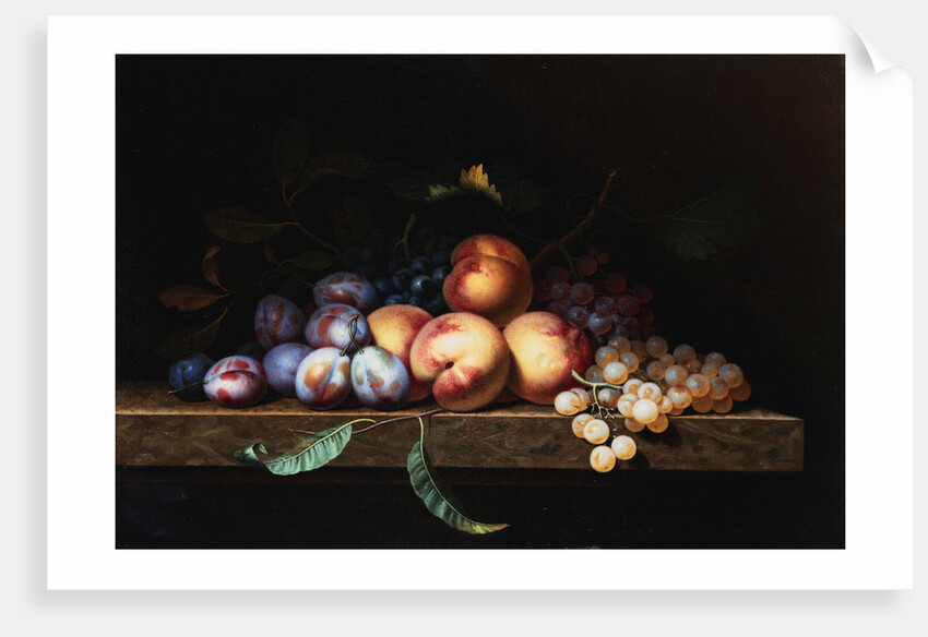 Peaches, Plums and Grapes on a Stone Ledge by Paul Liegois