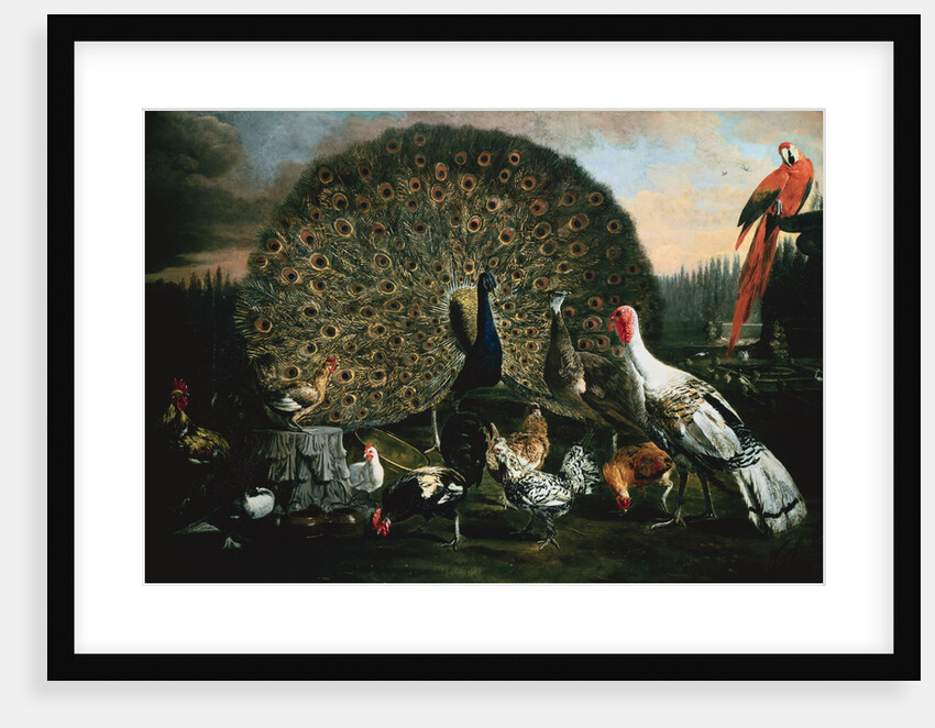 A Peacock and Other Birds in a Park by Jacomo Victors