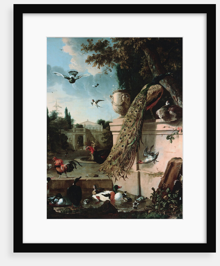 A Peacock and other Birds in the Gardens of a Palace by Melchoir d'Hondecoeter