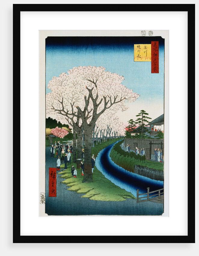 Cherry Blossoms, Tama River Embankment by Ando Hiroshige