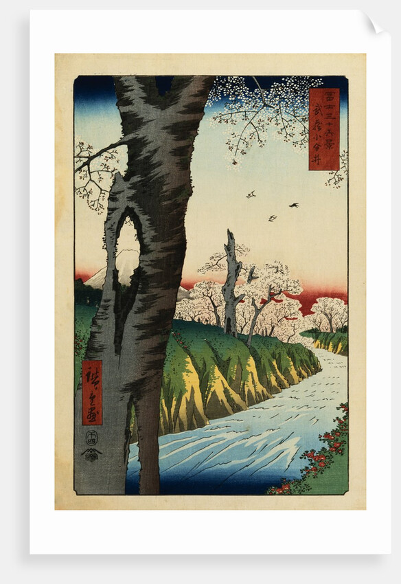 Print of a River under Cherry Blossoms by Hiroshige