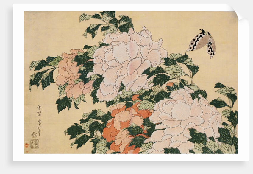 Pink and Red Peonies Blown to the Left in a Breeze and a Butterfly by HOKUSAI
