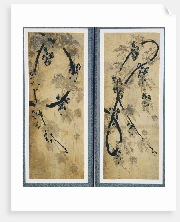 Grapes Vines by Anonymous