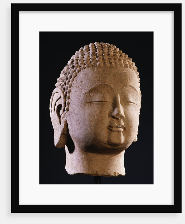 A Sandstone Head of Buddha. Northern Qi Dynasty by Anonymous