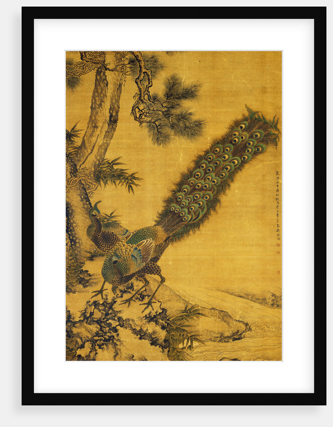 Bamboo, Pine and Peacocks. Hanging Scroll, 1752 by Shen Quan