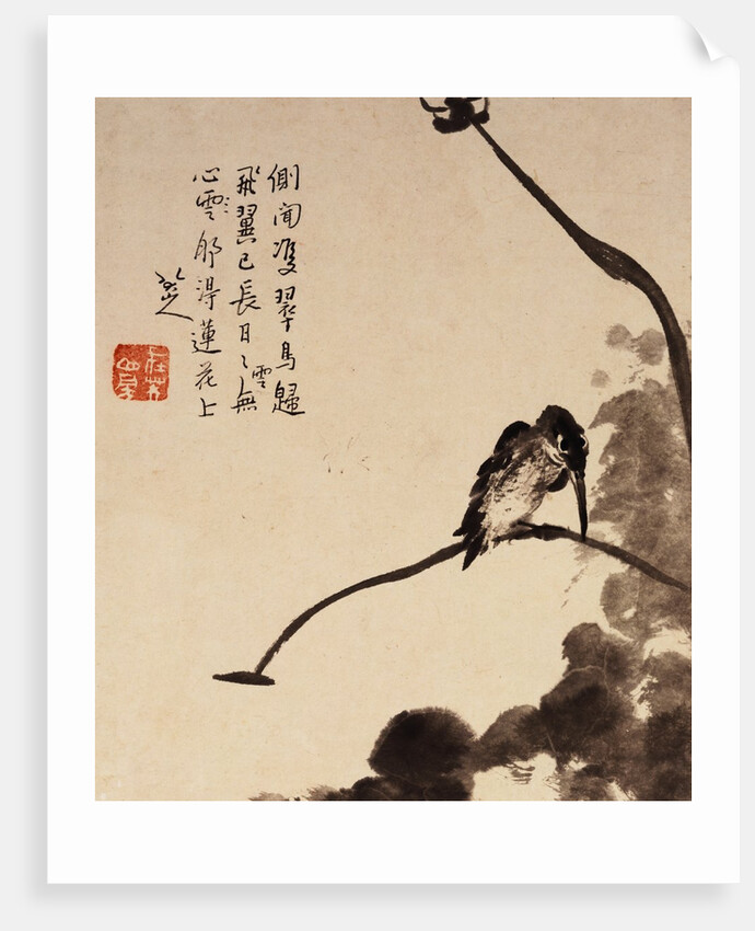 Lotus and Bird by Bada Shanren