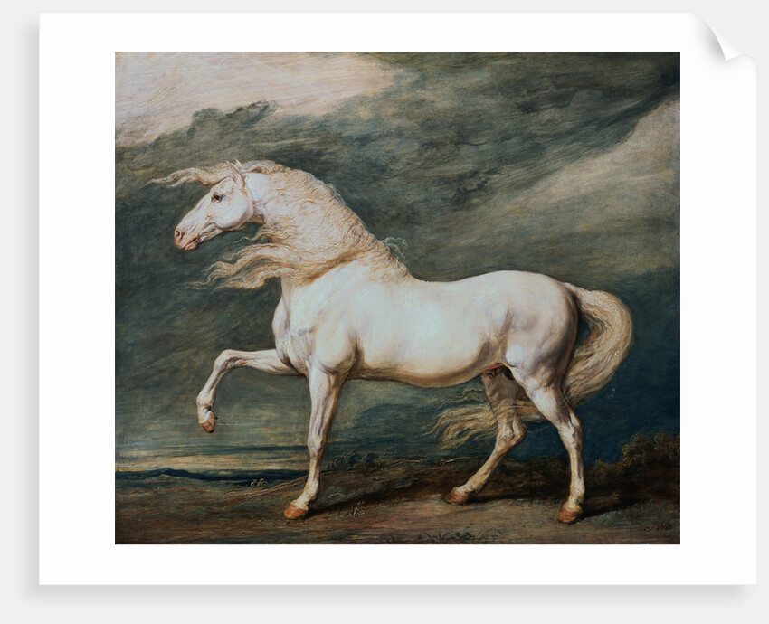 Adonis, King George III's Favorite Charger by James Ward