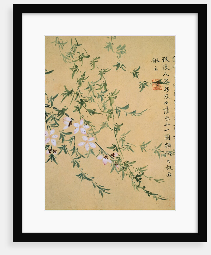 Flowers, from an Album of Ten Leaves by Zhou Xianji
