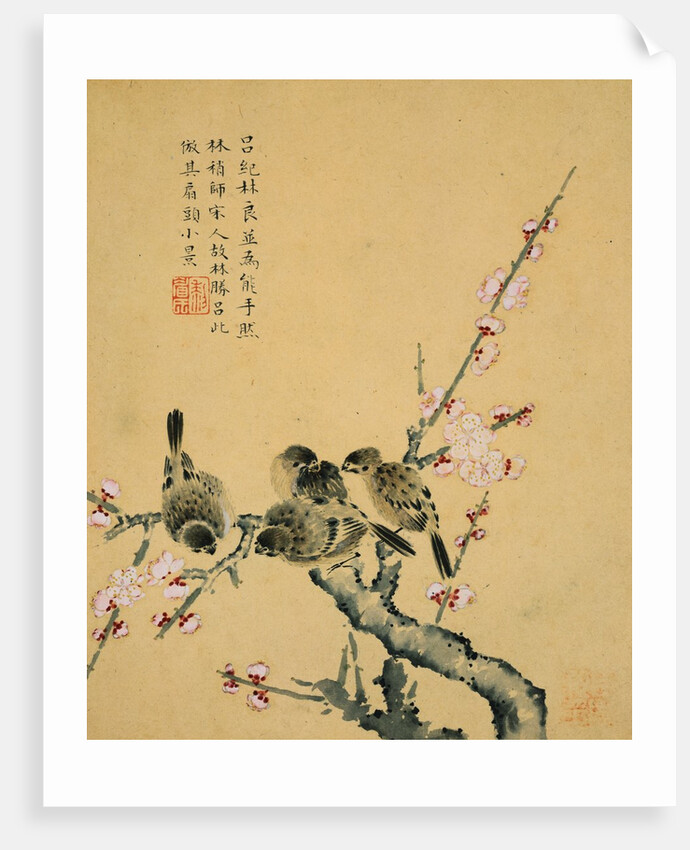 Plum Blossoms and Sparrows by Zhou Xianji