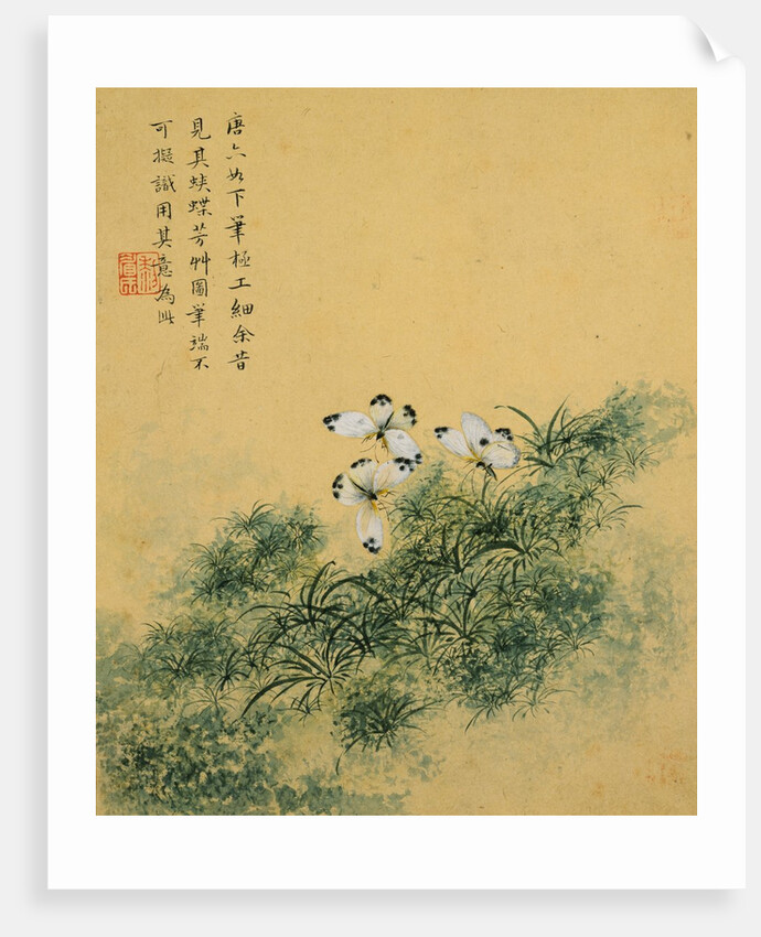 Flowers, from an Album of Ten Leaves (Butterflies) by Zhou Xianji