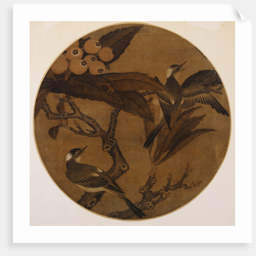 Magpies on a Pipa Branch by Anonymous