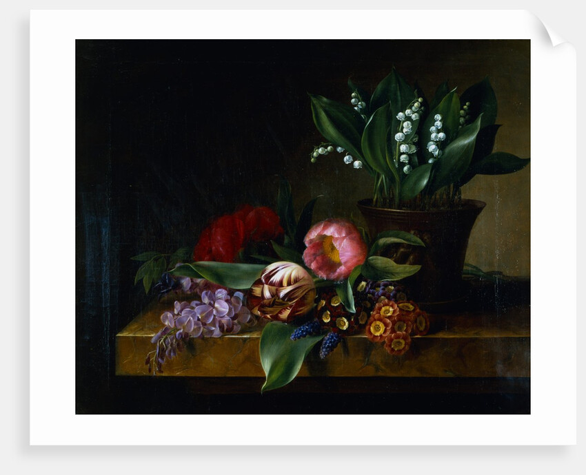 Painting of a Lily of the Valley, Tulips, Primula and Other Flowers on a Ledge by Hanne Hellesen