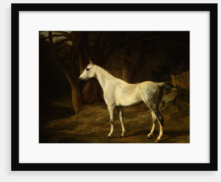 A Grey Hunter in a Woodland Landscape by Agasse Jacques Laurent