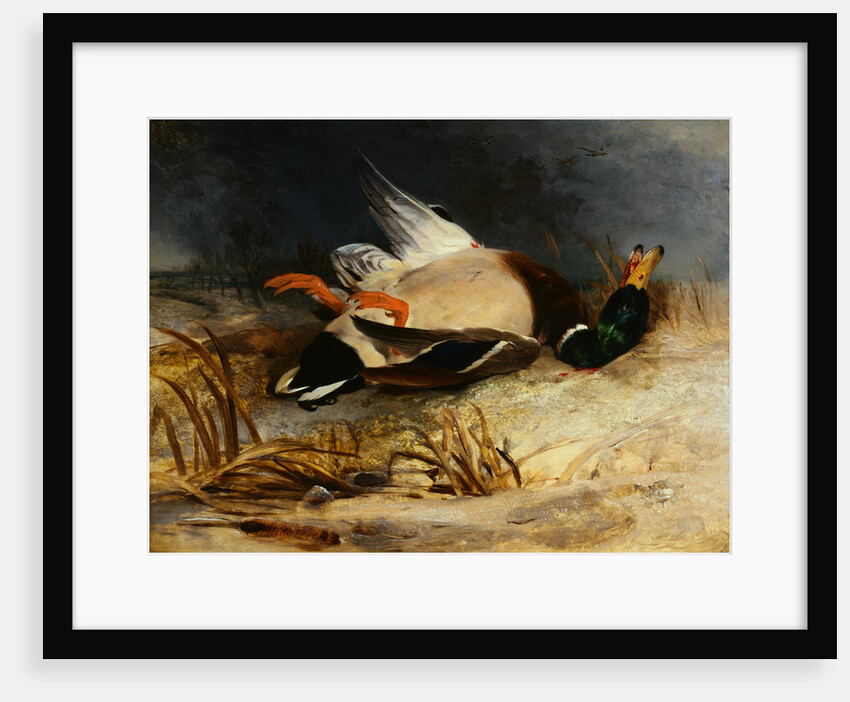 The Dead Mallard by Sir Edwin Henry Landseer