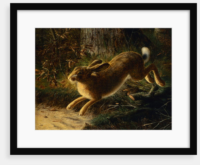 A Hare in a Landscape by Emma Mulvad