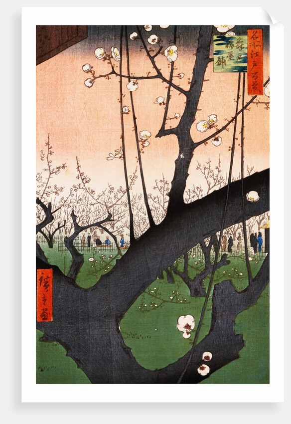 Plum Estate, Kameido (Kameido Umeyashiki) by Ando Hiroshige