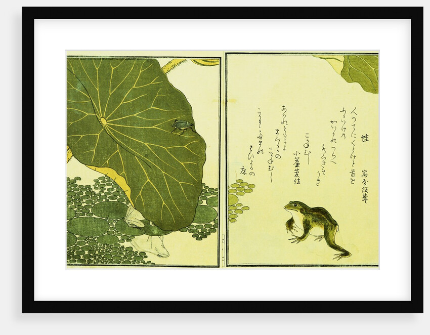 Illustration from A Picture Book of Selected Insects (Frog and Lilypad) by Utamaro