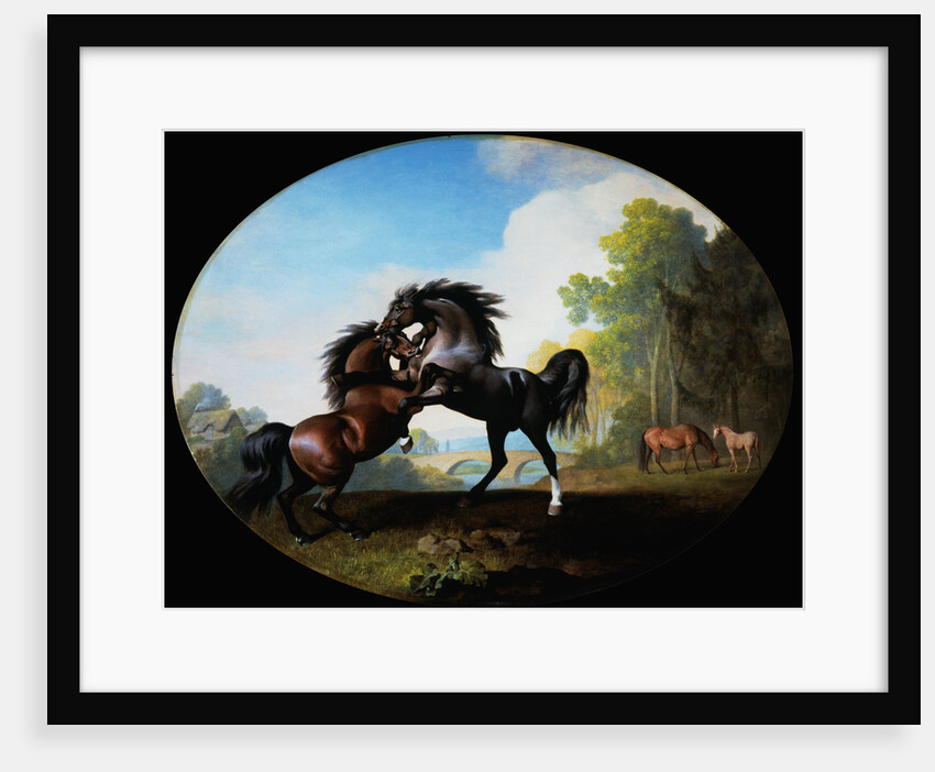 Stallions Fighting by George Stubbs