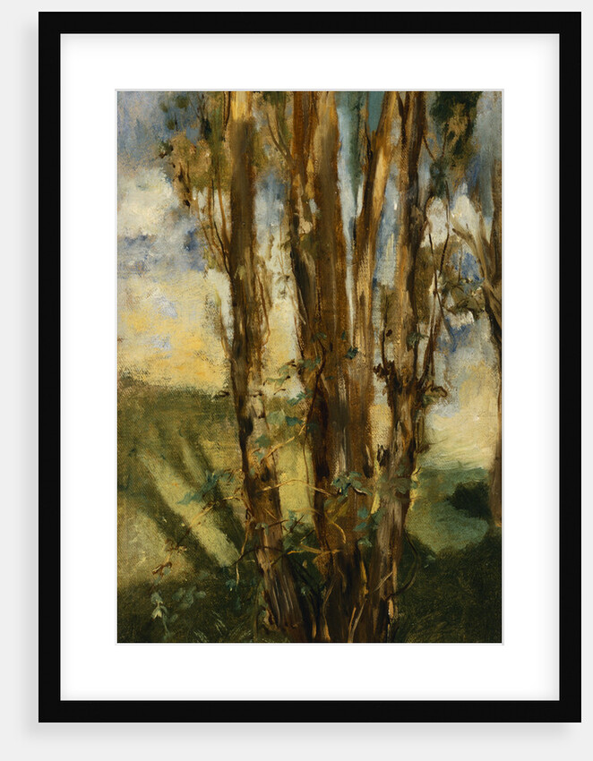 Study of Trees by Edouard Manet