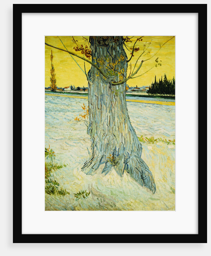 The Old Yew by Vincent Van Gogh