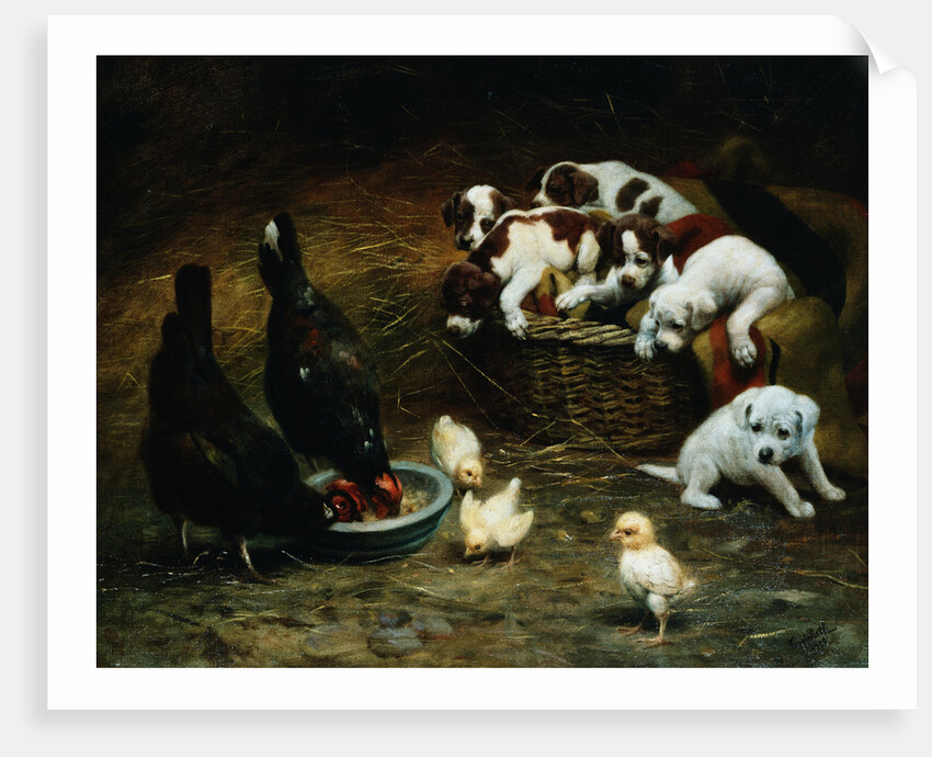 Barnyard Friends by Casper von Reth