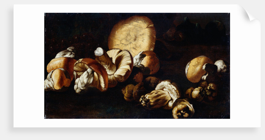 Painting of Porcini Mushrooms by Circle of the Pseudo Fardella