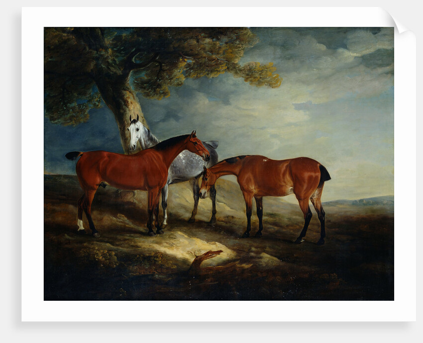 Painting of Horses in a Landscape by John Ferneley