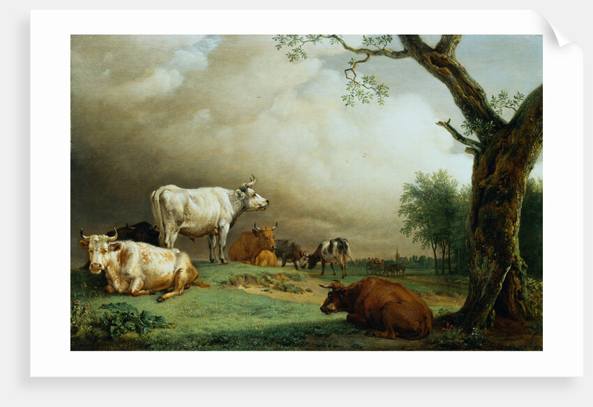 Painting of Cattle in a Field by Paulus Potter