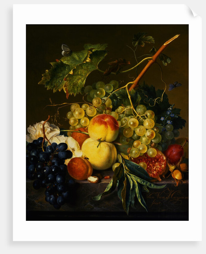 Fruit Still Life on a Marble Ledge by Jan van Huysum