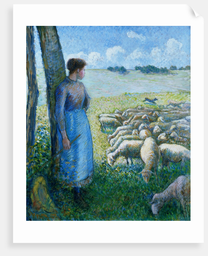 Shepherdess and Sheep by Camille Pissarro