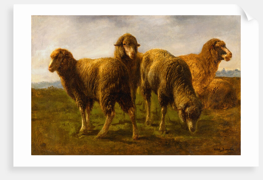 Sheep Grazing in a Meadow by Rosa Bonheur