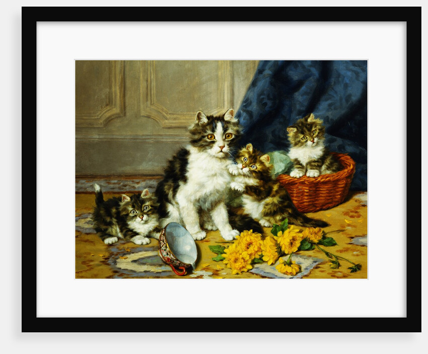 Playful Kittens by Daniel Merlin