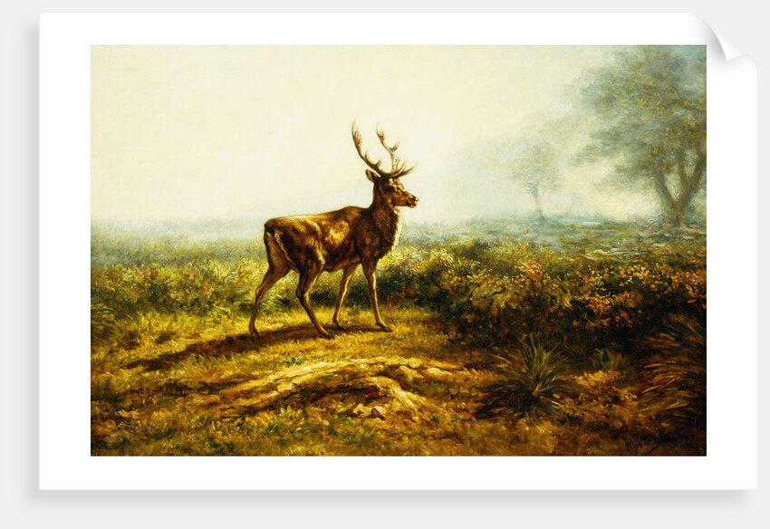 The Stag, Effect of the Morning by Rosa Bonheur