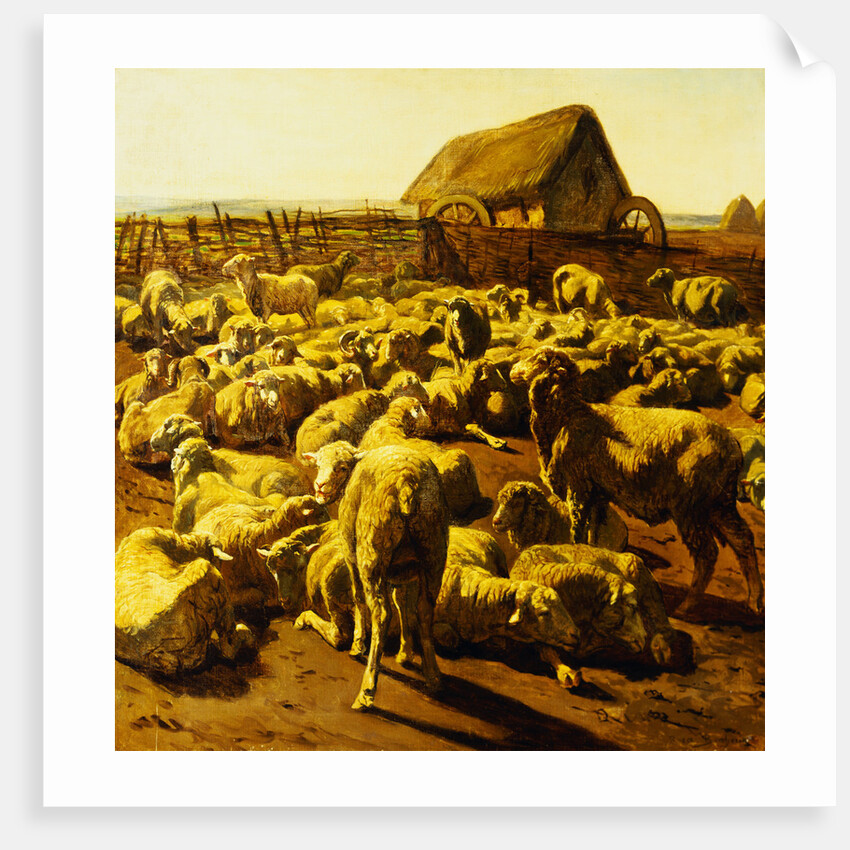 Sheep by Rosa Bonheur