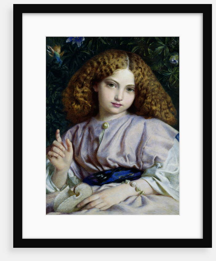 The Fair Conchologist by Alfred Walter Bayes