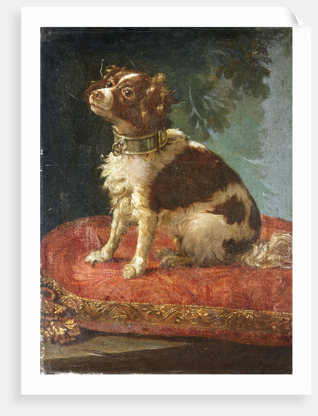 A Spaniel on a Cushion by Circle of Giacomo Antonio Ceruti