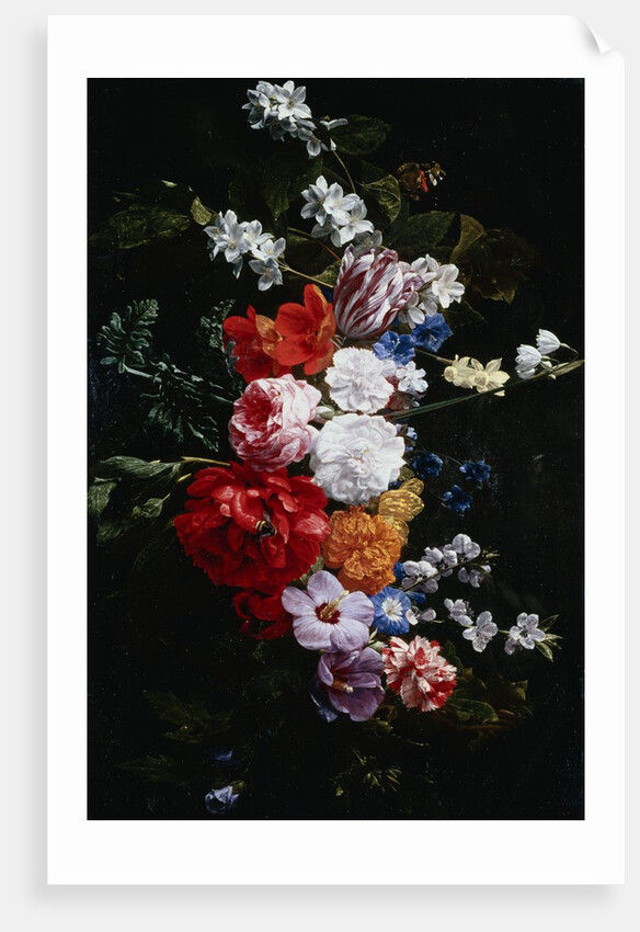 A Swag of Pink and White Roses by Nicolaes van Veerendael