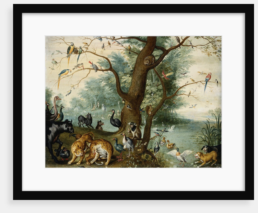 Animals and Birds in the Garden of Eden by School of Ferdinand van Kessel