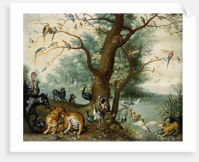 Animals and Birds in the Garden of Eden by School of Ferdinand van Kessel
