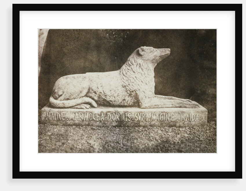 Maida by William Henry Fox Talbot