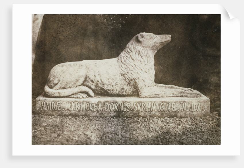 Maida by William Henry Fox Talbot