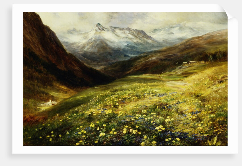 Flowers of the Alps by John MacWhirter